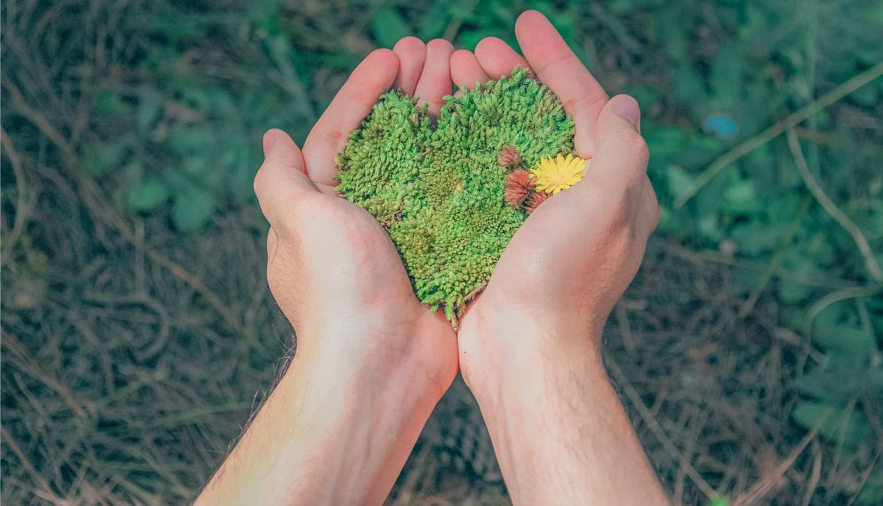 Medio Ambiente